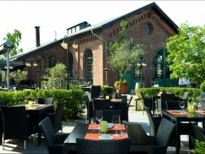 Foto: Hopmanns Olive